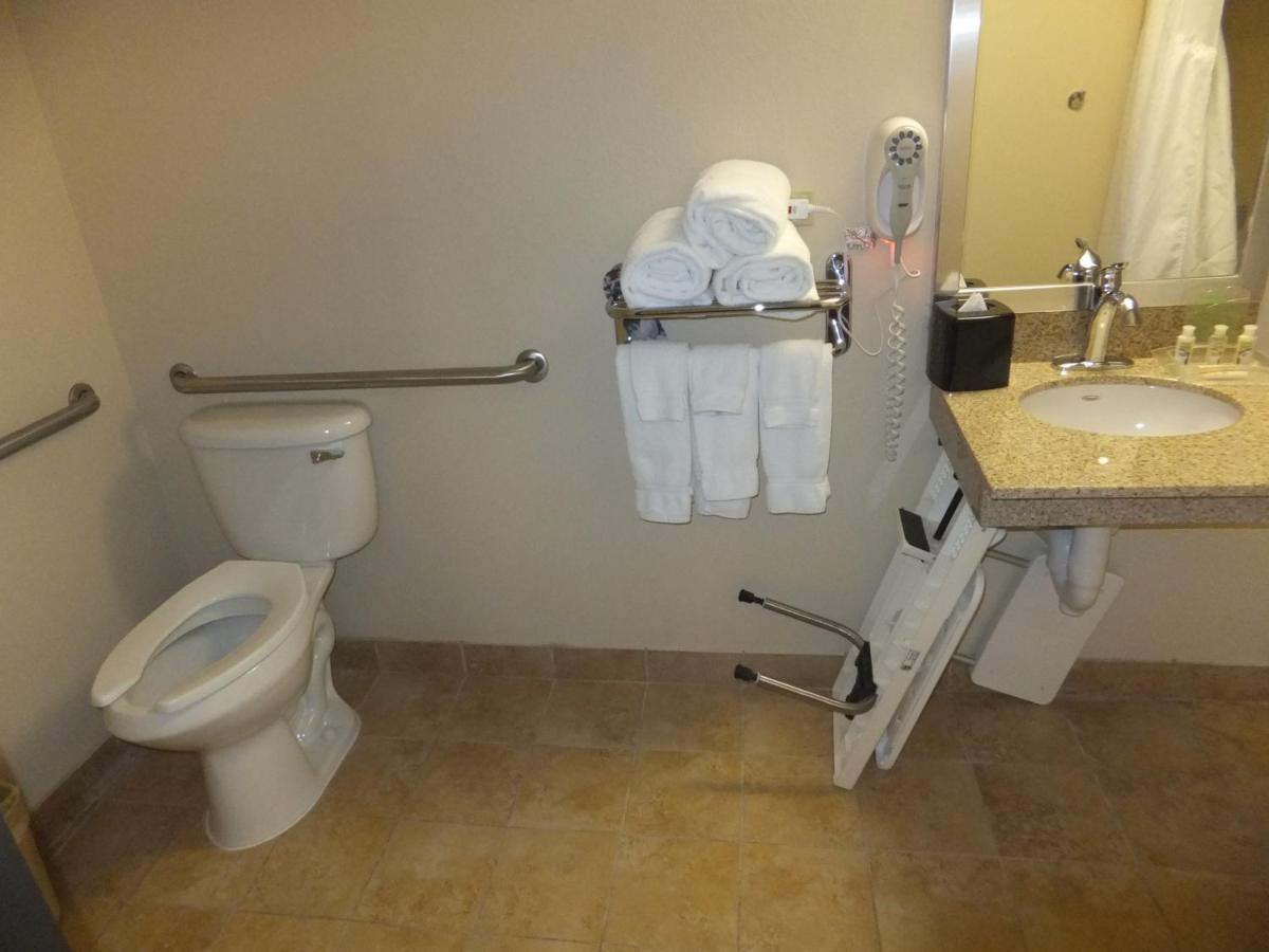 Holiday Inn Mount Prospect-Chicago Δωμάτιο φωτογραφία