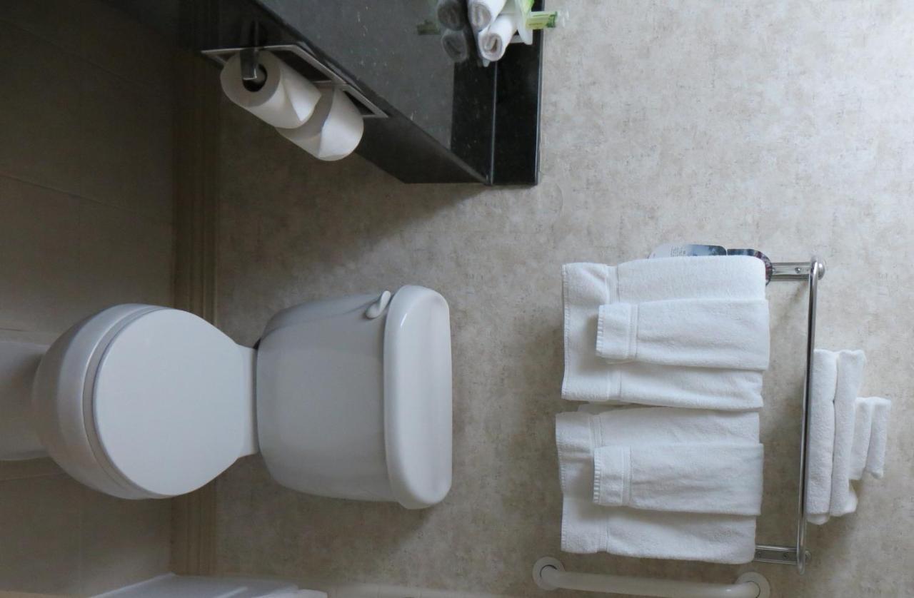 Holiday Inn Mount Prospect-Chicago Δωμάτιο φωτογραφία
