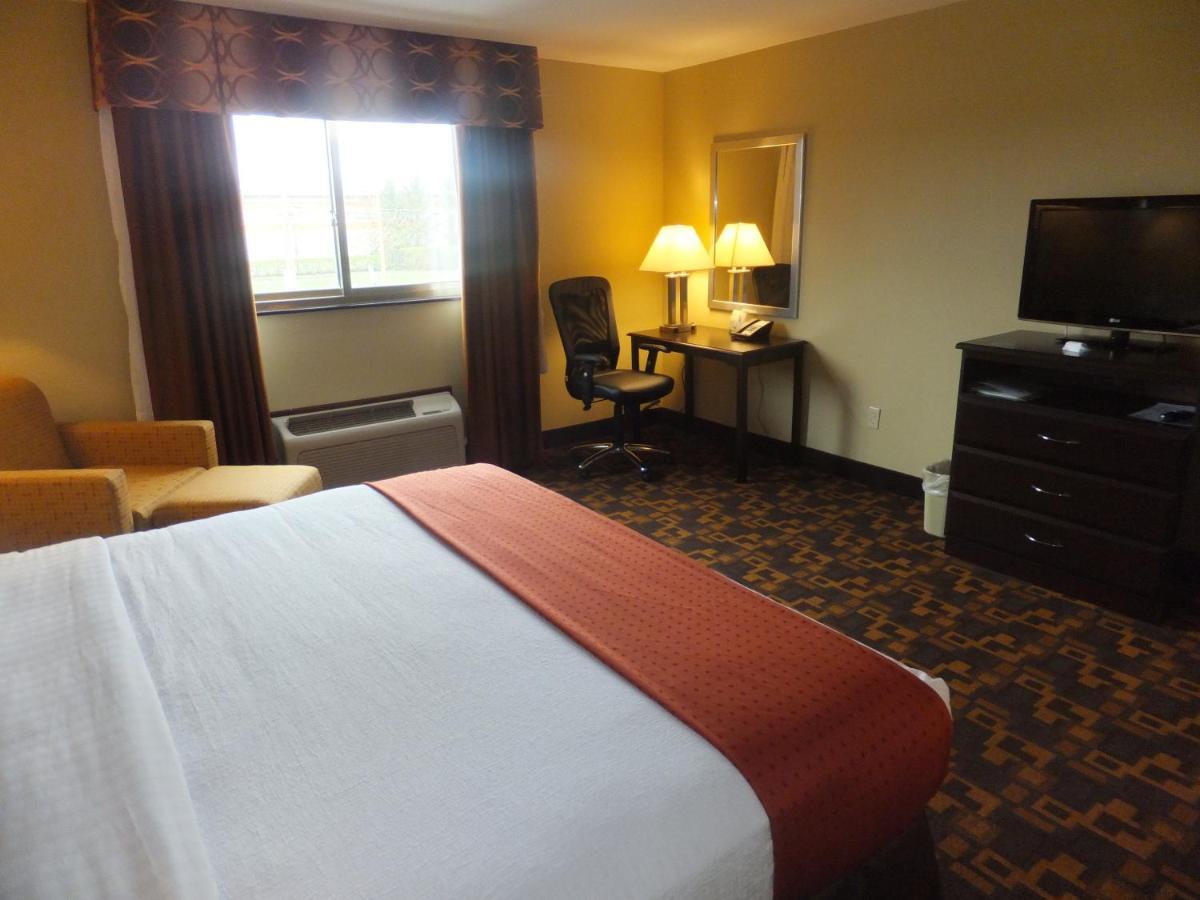 Holiday Inn Mount Prospect-Chicago Δωμάτιο φωτογραφία